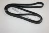 AUTOMEGA 30100490613 V-Ribbed Belts